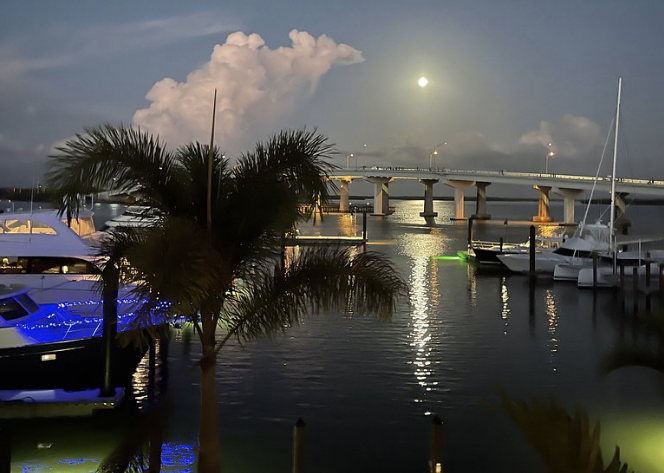 Riverside Marina at Night